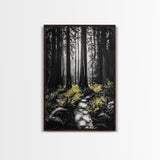Redwood Forest, Tall Trees, Nature Path, Canvas Print, Moody Wall Art, Black and White Painting, Rustic Home Decor, Cabin Artwork