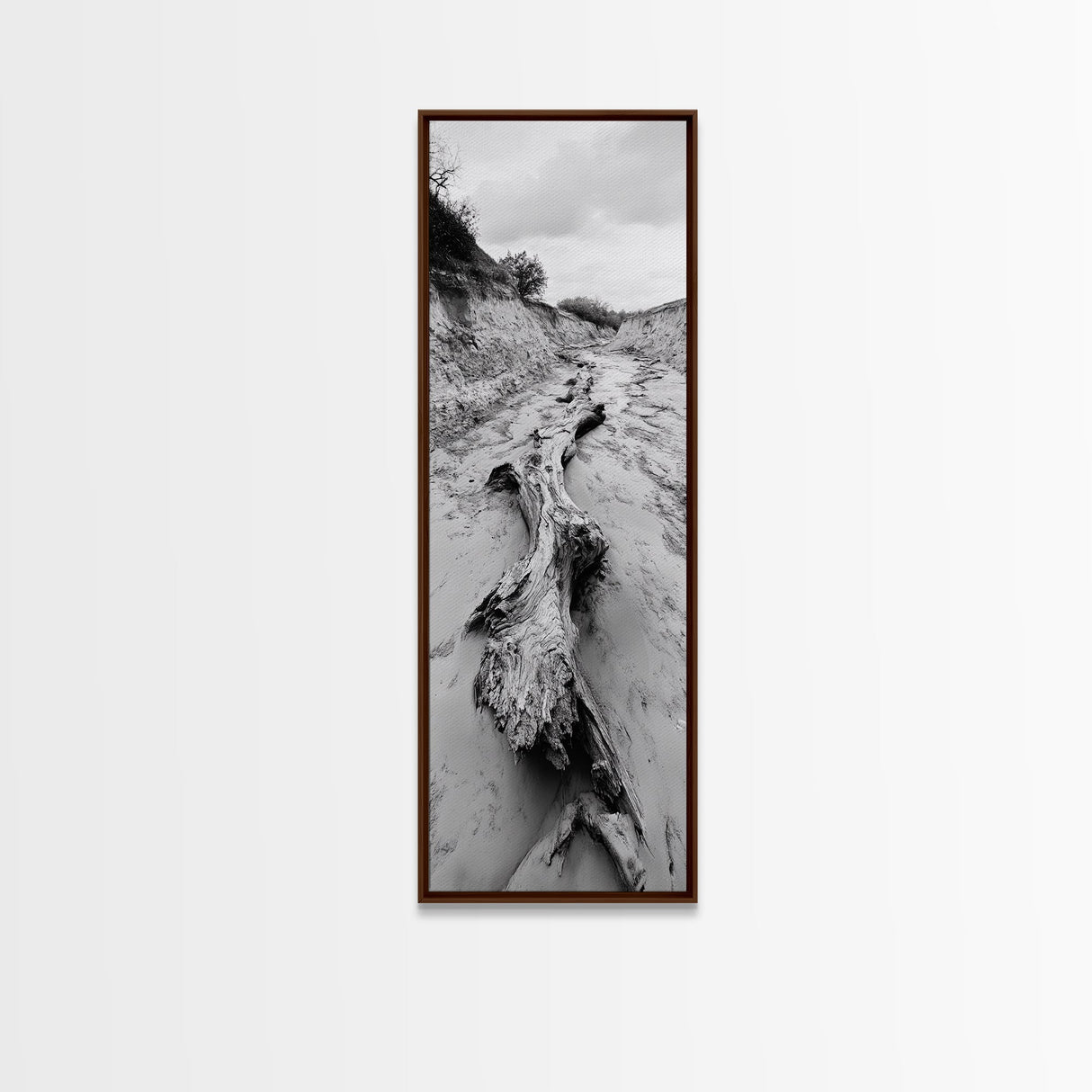 Driftwood, Nature Path, Earthy Decor, Rustic Home Style, Framed Canvas Print, Living Room Wall Art, Natural Landscape Photography