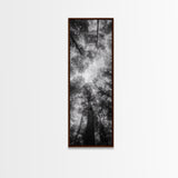 Forest Canopy, Nature Perspective, Tranquil Trees, Black and White, Framed Canvas Print, Cabin Wall Art, Scandinavian Decor, Minimalist Style