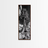 Majestic Tree, Nature Power, Earth Energy, Black White Art, Framed Canvas Print, Modern Rustic Decor, Cabin Wall Art, Tree Lover Gift