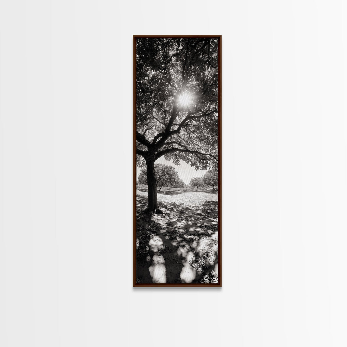 Sunlight Tree, Autumn Glow, Nature Shadowplay, Black White Forest Scene, Canvas Print, Fall Living Room Art, Boho Earthy Wall Decor