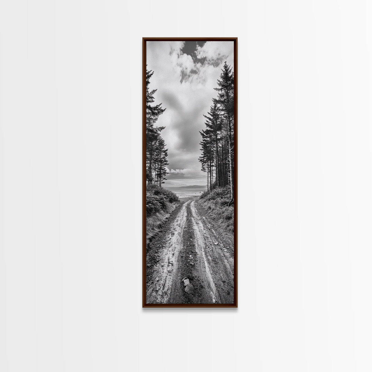 Coastal Forest Path, Nature Trail, Ocean View, Black and White, Framed Canvas Print, Entryway Wall Art, Rustic Decor, Landscape Photography