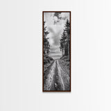 Coastal Forest Path, Nature Trail, Ocean View, Black and White, Framed Canvas Print, Entryway Wall Art, Rustic Decor, Landscape Photography