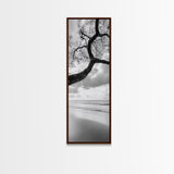 Ocean Tree View, Beach Horizon, Minimal Branches, Framed Canvas Print, Coastal Living Room Art, Neutral Decor, Zen Nature Photography