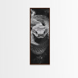 Coiled Snake, Wild Reptile, Black and White Snake, Fierce Eyes, Framed Canvas Print, Nature Lover Wall Art, Masculine Office Decor