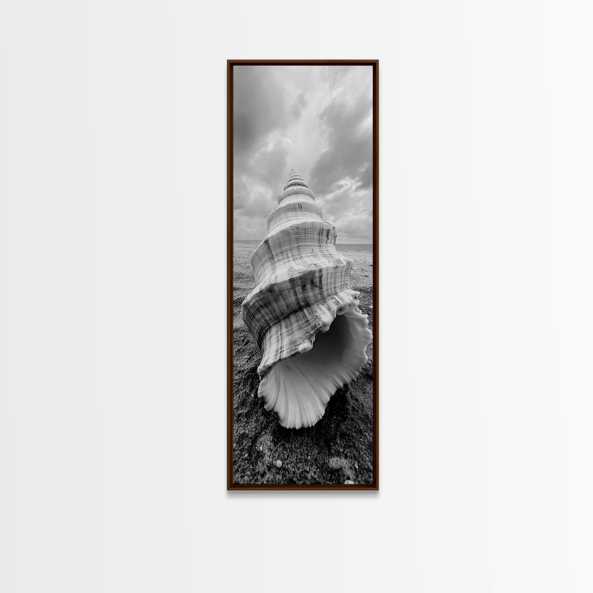 Shell Closeup, Ocean Texture, Natural Spiral, Minimalist Shell, Seashell Photography Framed Canvas Print, Coastal Kitchen Wall Art