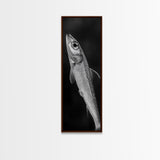 Silver Fish, Minimal Animal, Ocean Catch, Framed Canvas Print, Kitchen Wall Art, Nature Inspired Decor, Monochrome Sea Life