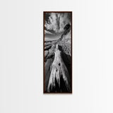 Driftwood Beach, Ocean Texture, Nature Scene, Canvas Print, Rustic Beach Decor, Coastal Wall Art, Bathroom Art, Moody Seaside Print