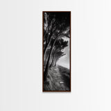 Windy Forest Trail, Dark Coastal Trees, Atmospheric Nature, Framed Canvas Print, Fall Living Room Wall Art, Moody Landscape Aesthetic