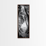 Forest Path, Ocean View, Tall Trees, Canvas Print, Black and White Nature Art, Entryway Wall Art, Rustic Woodland Aesthetic, Bedroom Wall Art