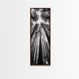 Redwood Forest, Sunlight Trees, Nature Canopy, Canvas Print, Serene Woodland Art, Cabin Wall Decor, Black and White Forest Art, Bedroom Wall Art
