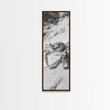 Sand Crab, Coastal Vibes, Beach Creature, Desert Aesthetic, Monochrome Wall Art, Canvas Print, Boho Bathroom Decor, Ocean Life Artwork