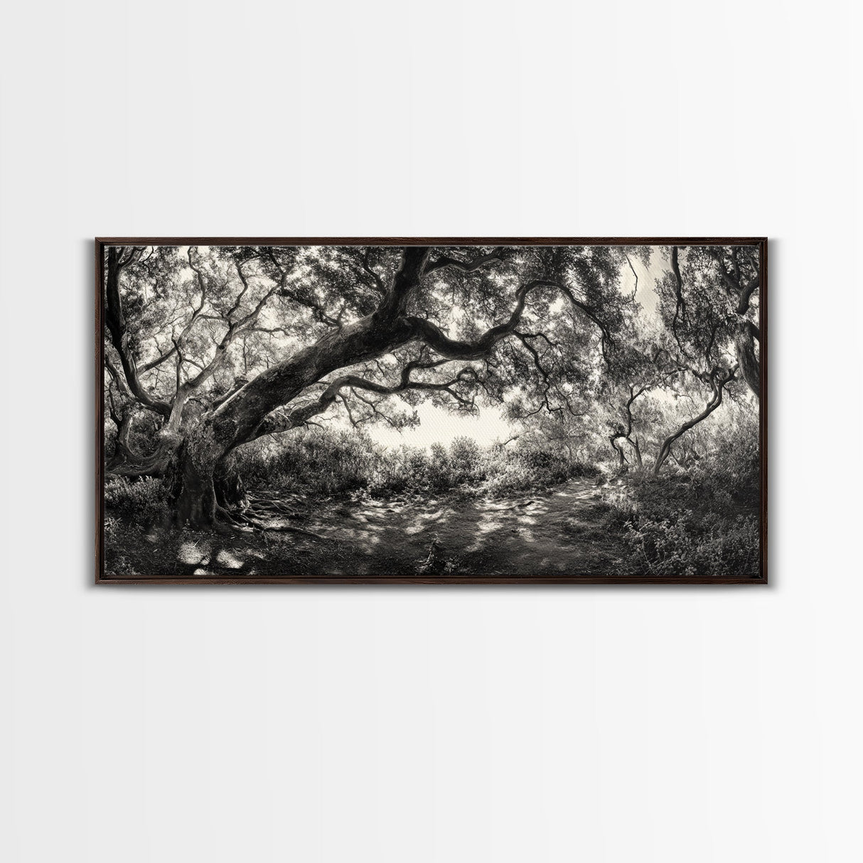 Twisted Forest Canopy, Ancient Trees, Mystical Woodland, Canvas Print, Boho Living Room Art, Black and White Nature Print, Cabin Decor