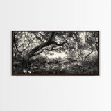 Twisted Forest Canopy, Ancient Trees, Mystical Woodland, Canvas Print, Boho Living Room Art, Black and White Nature Print, Cabin Decor
