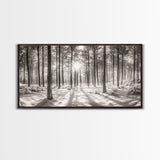 Winter Pine Forest, Sunlight Snow Trees, Nature Landscape Photography, Framed Canvas Print, Cabin Decor, Minimalist Wall Art