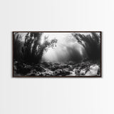 Kelp Forest Rays, Underwater Light, Black and White Ocean Scene, Framed Canvas Print, Nature Wall Art, Coastal Bathroom Decor