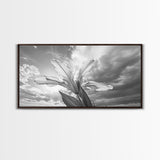 Blooming Iris, Floral Sky, Dreamy Nature, Petal Light, Framed Canvas Print, Modern Bedroom Art, Feminine Wall Art, Botanical Home Decor