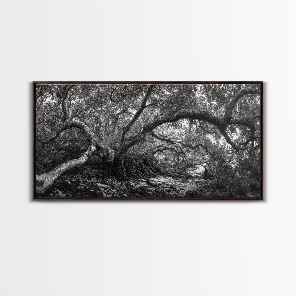 Mangrove Roots, Twisted Forest, Wild Nature, Moody Jungle, Framed Canvas Print, Rustic Living Room Art, Woodland Decor, Boho Vibes