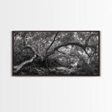 Mangrove Roots, Twisted Forest, Wild Nature, Moody Jungle, Framed Canvas Print, Rustic Living Room Art, Woodland Decor, Boho Vibes