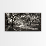 Oak Tree Path, Autumn Forest Glow, Nature Trail Photography, Framed Canvas Print, Hallway Wall Art, Earthy Decor, Woodland Art