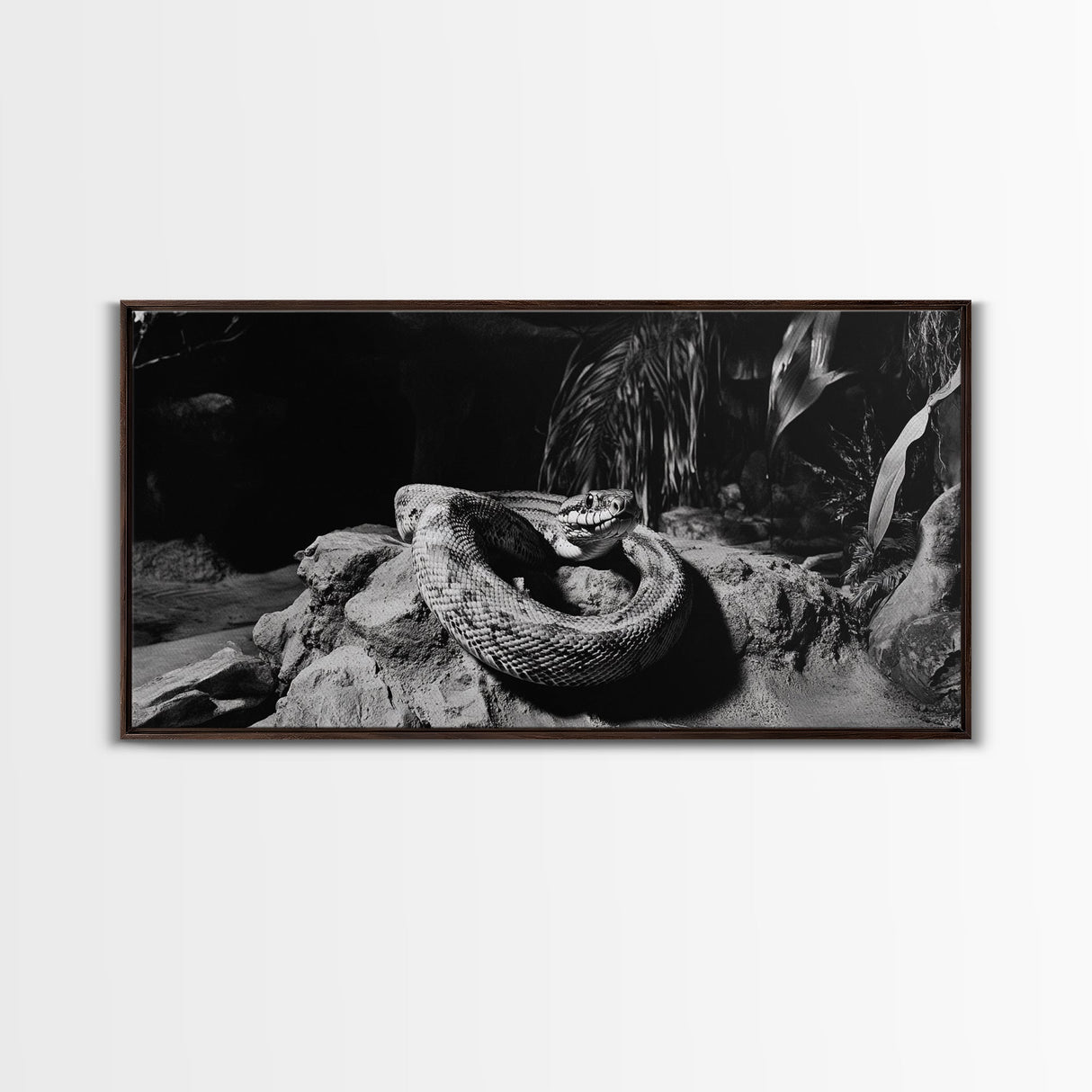 Jungle Snake Scene, Reptile Animal Art, Bold Black and White, Framed Canvas Print, Wildlife Decor, Man Cave or Study Wall Art