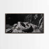 Jungle Snake Scene, Reptile Animal Art, Bold Black and White, Framed Canvas Print, Wildlife Decor, Man Cave or Study Wall Art