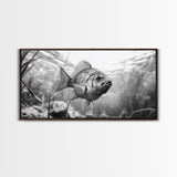 Underwater Fish, Nature Photography, Lake Life Scene, Freshwater Animal, Framed Canvas Print, Bathroom Wall Art, Minimalist Decor