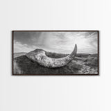Driftwood Horn Curve, Coastal Nature Art, Whale Bone Decor, Beachside Minimalism, Canvas Print, Entryway Wall Art, Nautical Rustic Decor