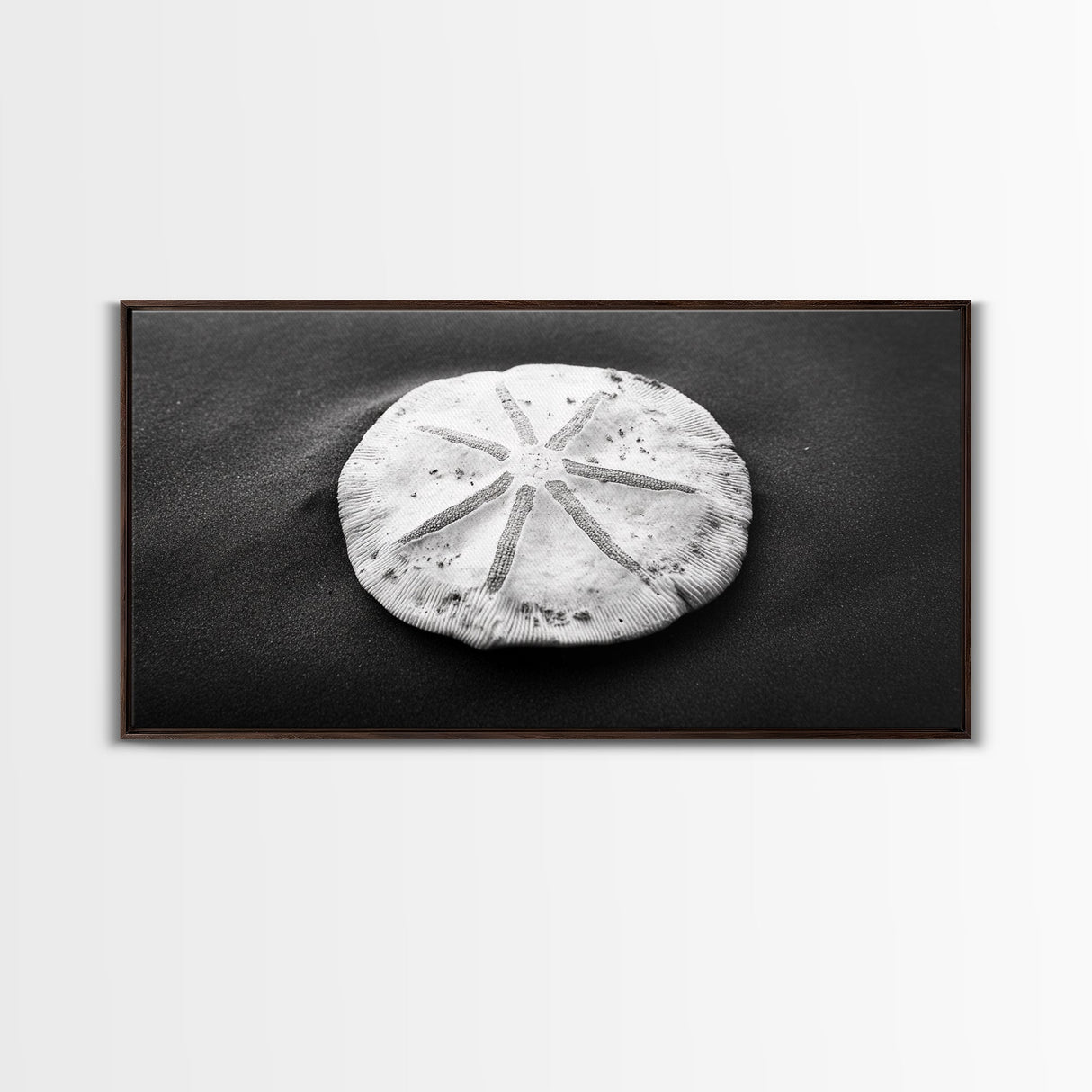 Sand Dollar, Beach Detail, Minimalist Sea, Calm Nature, Framed Canvas Print, Bathroom Wall Art, Coastal Boho Decor, Ocean Zen Style