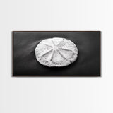 Sand Dollar, Beach Detail, Minimalist Sea, Calm Nature, Framed Canvas Print, Bathroom Wall Art, Coastal Boho Decor, Ocean Zen Style