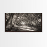 Tree Tunnel Trail, Light Dappled Path, Forest Archway Scene, Framed Canvas Print, Hallway Wall Art, Boho Natural Decor, Living Room Wall Art