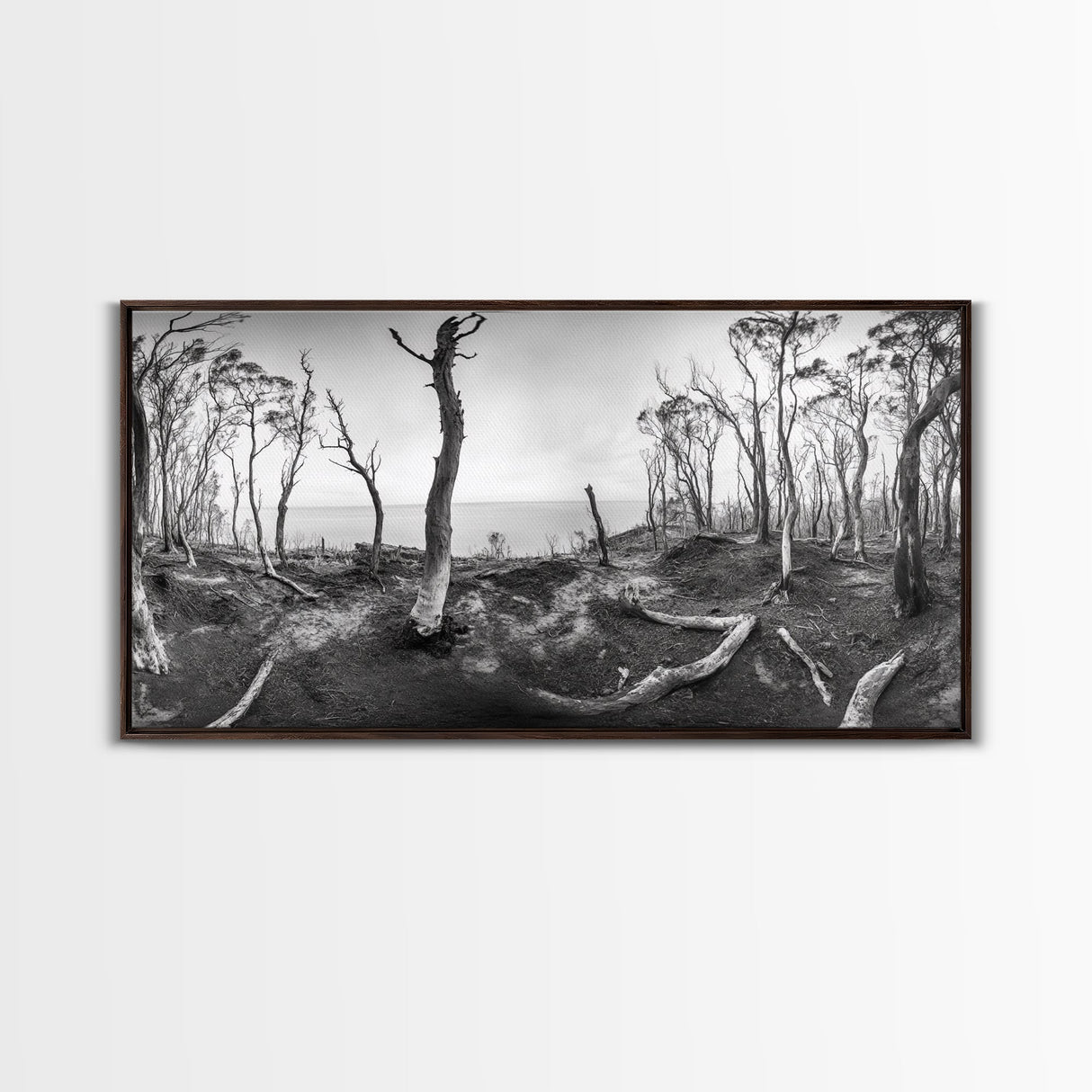 Burnt Forest, Moody Trees, Coastal Landscape, Nature Scene, Framed Canvas Print, Rustic Wall Art, Boho Decor, Fall Home Aesthetic