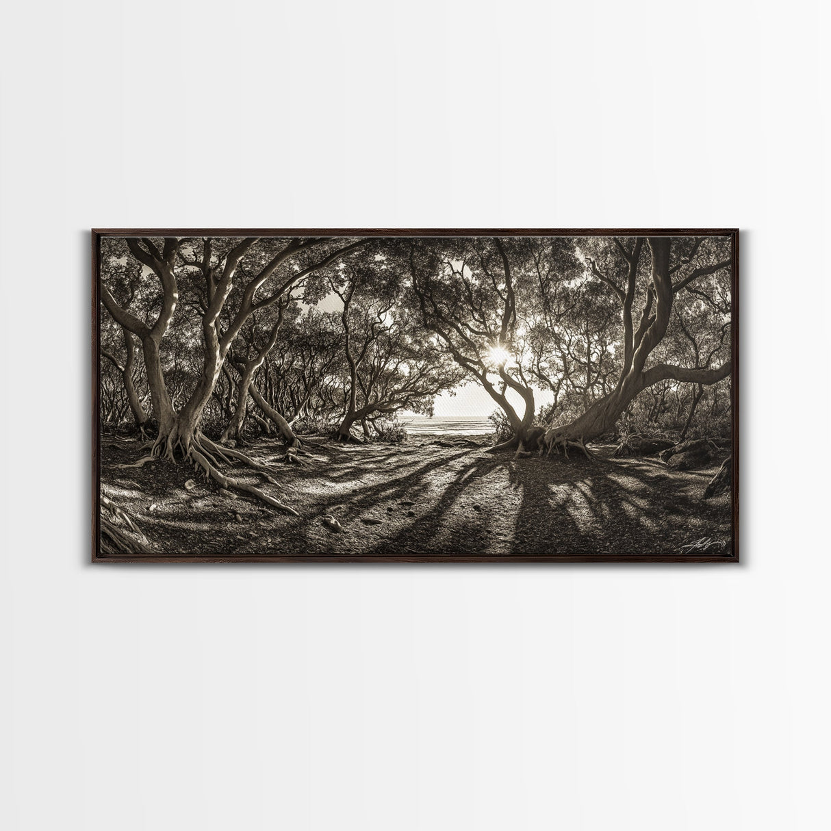 Enchanted Forest Light, Tree Shadows, Nature Landscape, Framed Canvas Print, Rustic Wall Art, Entryway Woodland Decor, Boho Forest Print