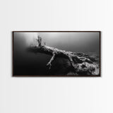 Underwater Tree, Ocean Roots, Nature Surrealism, Canvas Print, Moody Nautical Decor, Bathroom Wall Art, Black And White Abstract Art