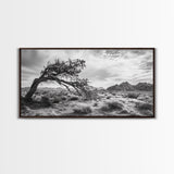 Twisted Tree, Desert Landscape, Surreal Nature, Canvas Print, Rustic Western Decor, Living Room Wall Art, Moody Earth Tones, Fall Aesthetic