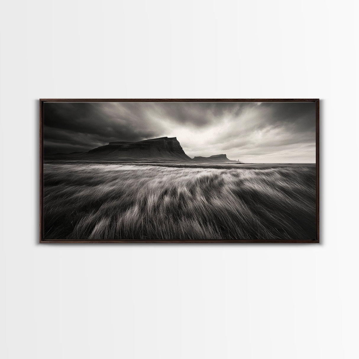 Grassy Plains, Stormy Sky, Dramatic Mountain, Monochrome Field, Canvas Print, Modern Minimalist Art, Office Wall Decor, Moody Wall Art