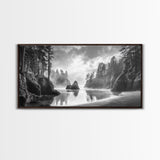 Forest Coast, Secluded Beach, Ocean Rocks, Misty Trees, Framed Canvas Print, Nature Wall Art, Living Room Decor, Moody Landscape