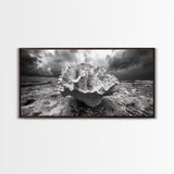 Coral Texture, Ocean Storm, Dramatic Sky, Sea Fossil, Framed Canvas Print, Coastal Nature Art, Fall Entryway Wall Decor, Cabin Wall Art