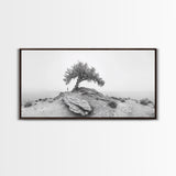Solitary Tree, Minimalist Nature, Desert Landscape, Canvas Print, Modern Home Decor, Neutral Wall Art, Entryway Accent, Calm Mood Art
