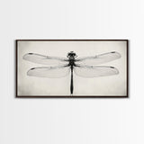 Dragonfly Sketch, Insect Art Print, Botanical Illustration, Minimalist Natural History, Framed Canvas Print, Office or Study Wall Art
