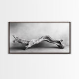 Driftwood Sculpture, Organic Modern Art, Natural Wood Texture, Neutral Decor, Framed Canvas Print, Bedroom or Living Room Wall Art