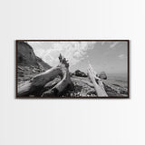 Coastal Driftwood, Beach Landscape, Pebble Shore Scene, Natural Decor Accent, Canvas Print, Relaxed Vibe, Entryway or Den Wall Art