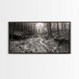 Forest Stream, Tranquil Woodland Path, Autumn Nature Photography, Framed Canvas Print, Rustic Cabin Decor, Living Room Wall Art