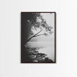 Misty Tree, Shoreline Fog, Forest Edge, Moody Atmosphere, Framed Canvas Print, Bedroom Wall Art, Autumn Woodland Style, Serene Nature Decor
