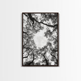 Forest Canopy View, Tree Tops Art, Nature Sky Print, Framed Canvas Print, Bedroom Wall Art, Minimalist Nature, Modern Rustic Decor