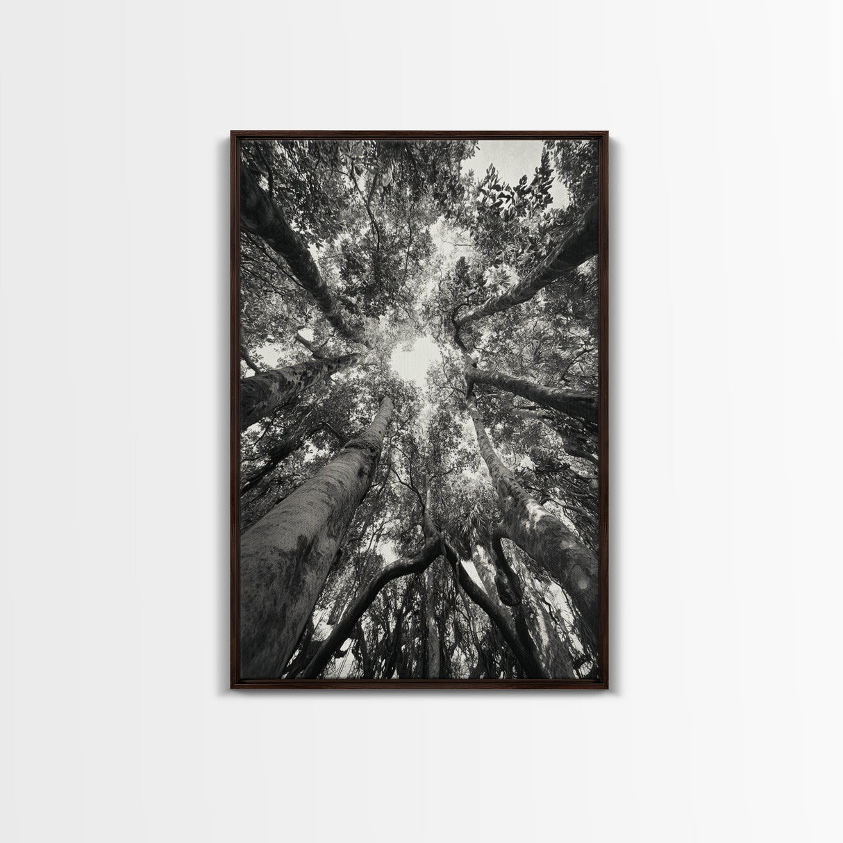 Tree Canopy, Forest Light, Upward View, Canvas Print, Woodland Wall Art, Living Room Decor, Nature Perspective Photography