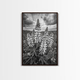 Lupine Flower Field, Bold Floral, Spring Nature Scene, Framed Canvas Print, Boho Living Room Art, Botanical Wall Decor