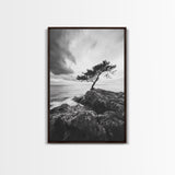 Lone Tree, Cliffside Ocean, Windy Coast Art, Framed Canvas Print, Bedroom Wall Art, Modern Nature Photography, Coastal Minimalist Decor