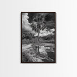 Tropical Palm, Reflected Sky, Nature Tranquility, Canvas Print, boho wall decor, bathroom art, tropical reflection photography