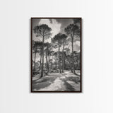 Forest Shadows, Tall Pines, Natural Light, Framed Canvas Print, woodland landscape, rustic cabin decor, autumn forest art